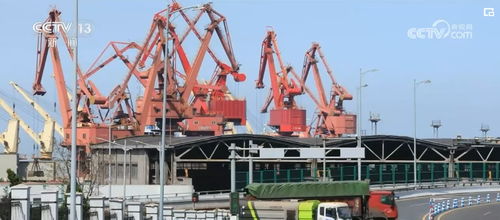 多領(lǐng)域火熱 數(shù)據(jù)勾勒經(jīng)濟(jì)強(qiáng)大活力